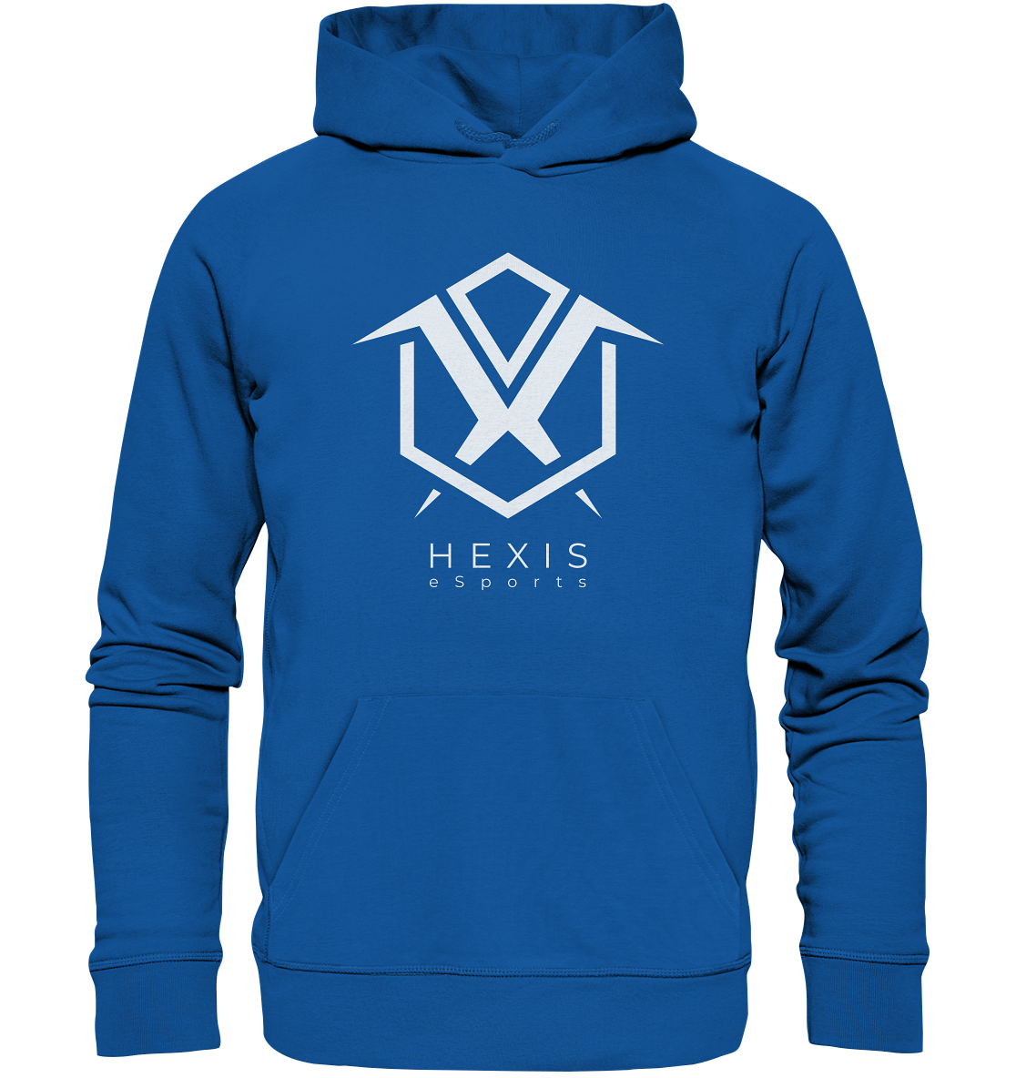 HEXIS ESPORTS - Basic Hoodie