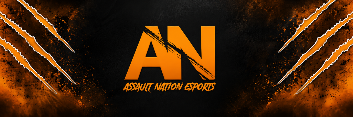 ASSAULT NATION