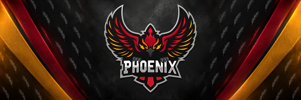 TEAM PHOENIX