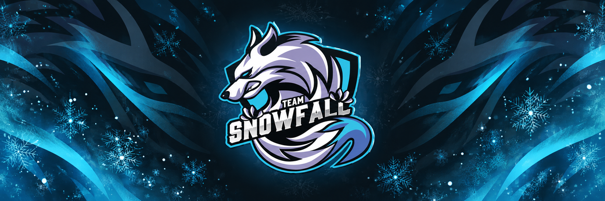 TEAM SNOWFALL