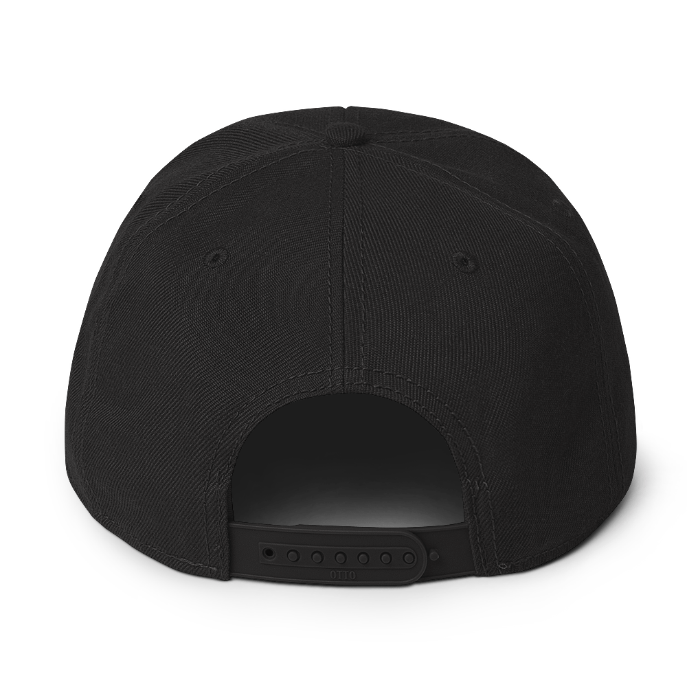 SMOKING GORILLAS - Snapback Cap in Schwarz – Rückansicht