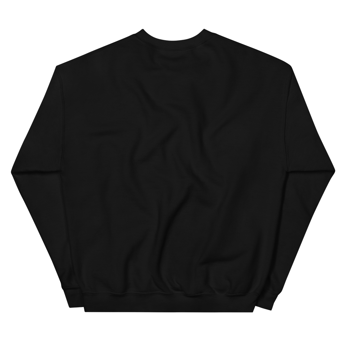 NOOB RACING TEAM Basic Sweatshirt 2026 – Schwarz, Rückansicht
