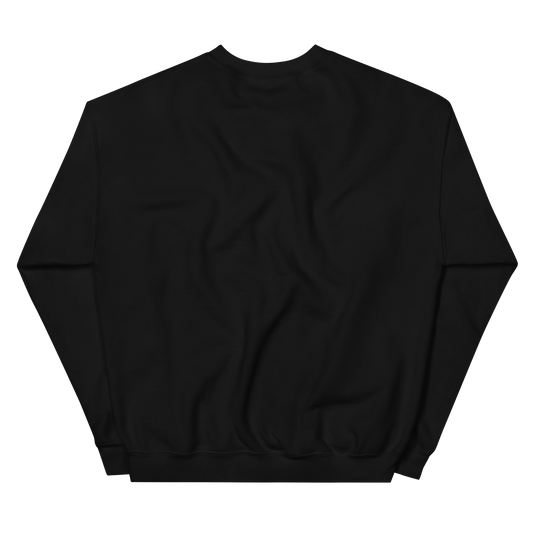 NOOB RACING TEAM Basic Sweatshirt 2026 – Schwarz, Rückansicht