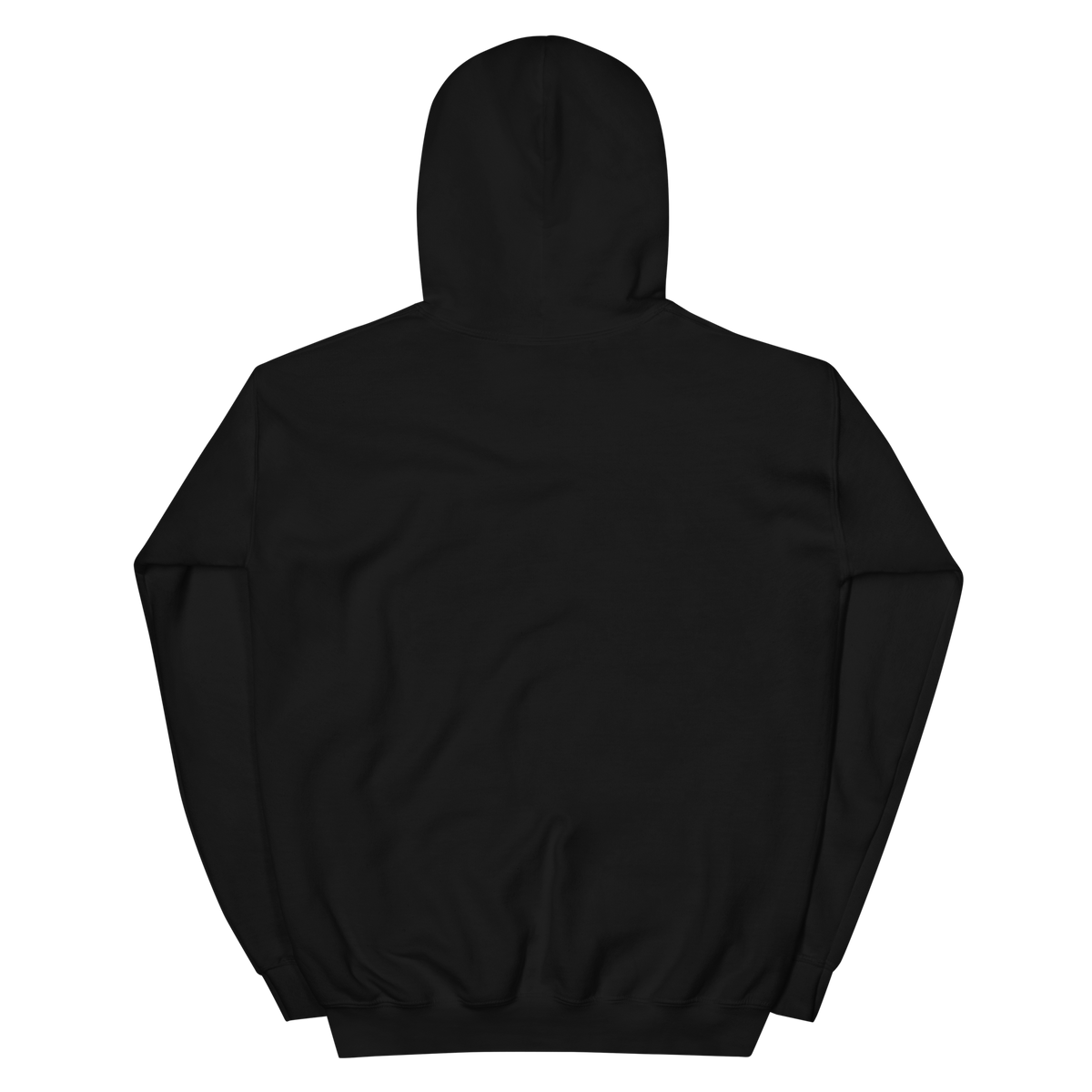 NOOB RACING TEAM Basic Hoodie 2026 – Schwarz, Rückansicht