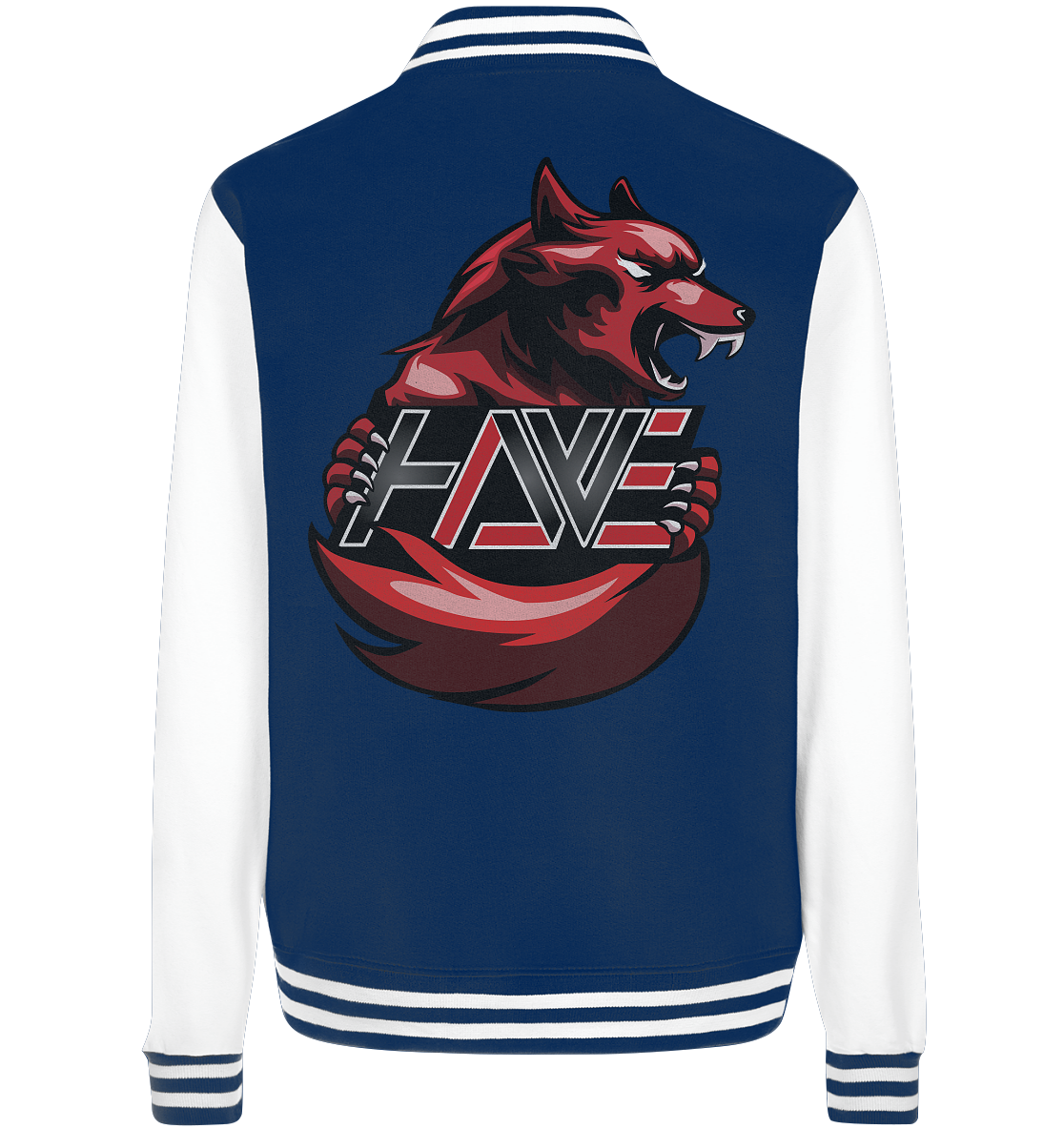 HATERS WEAPON - Basic College Jacke