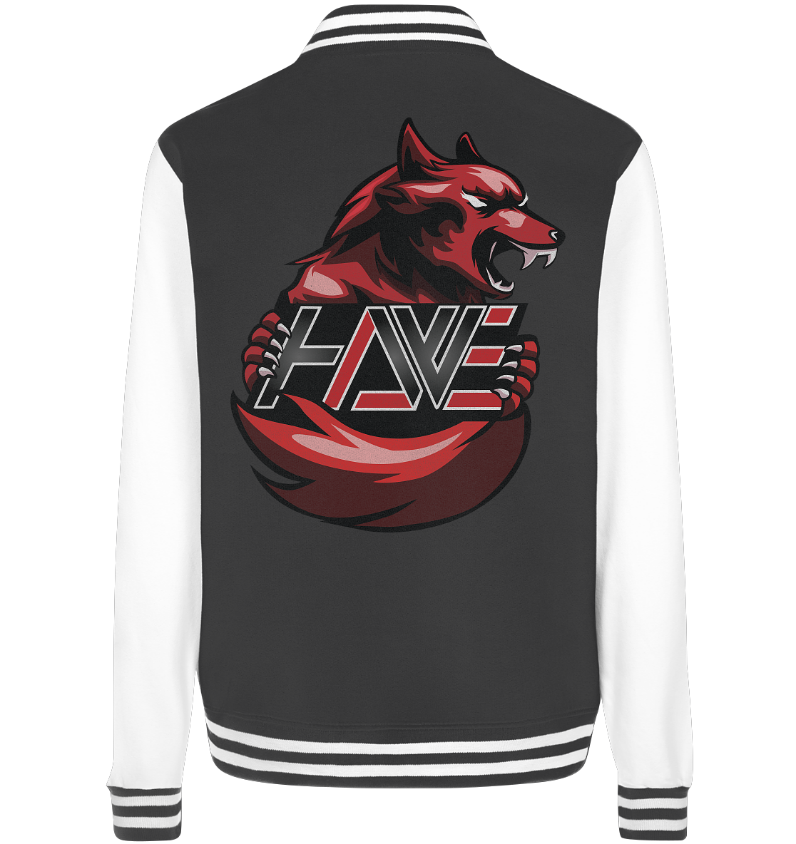 HATERS WEAPON - Basic College Jacke