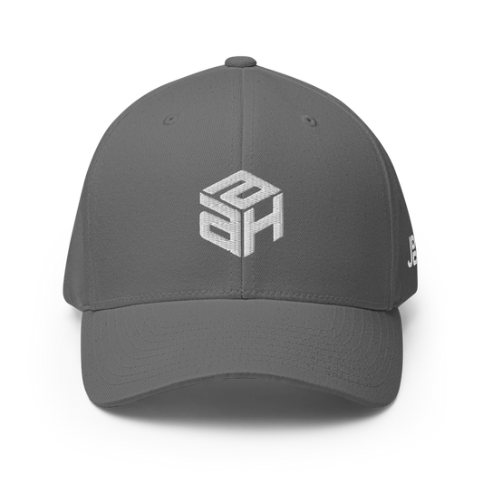 AAH - Flexfit Cap