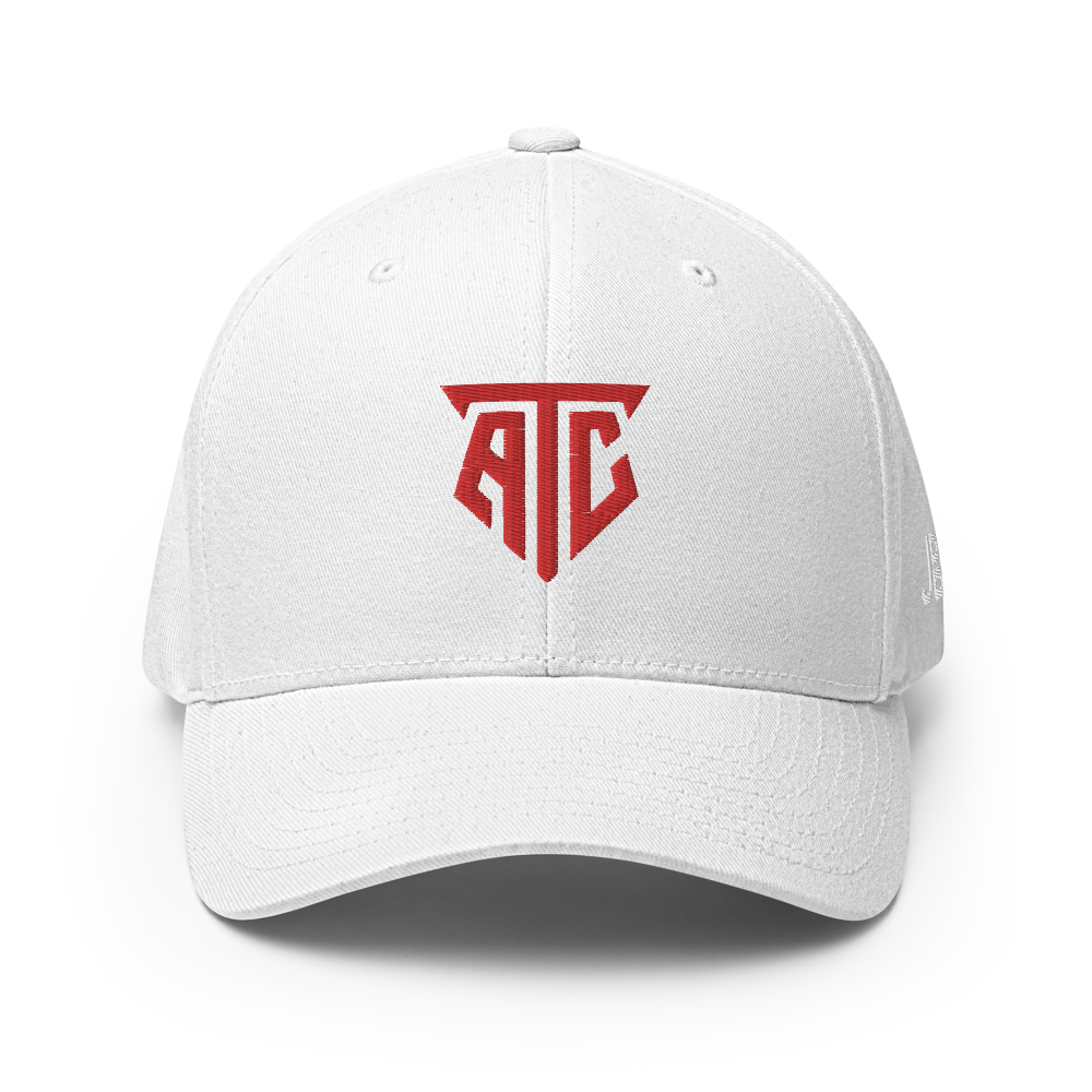 ARTIC - Flexfit Cap