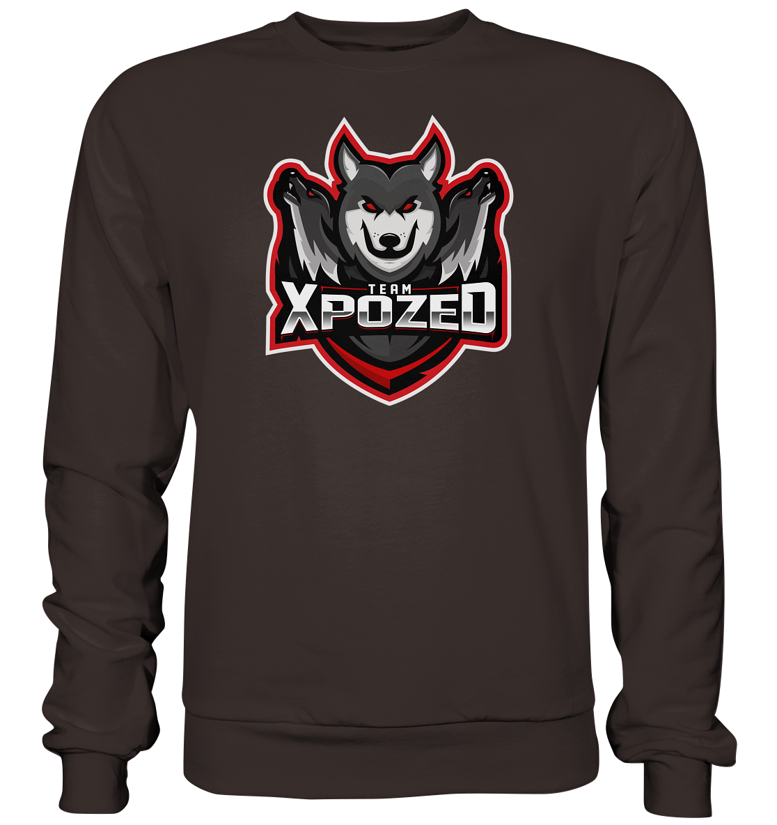 TEAM XPOZED - Basic Sweatshirt