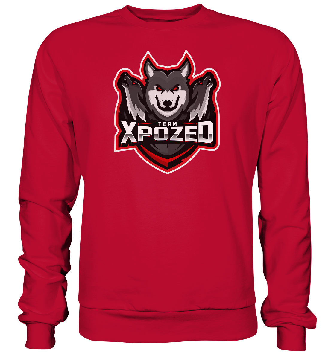 TEAM XPOZED - Basic Sweatshirt