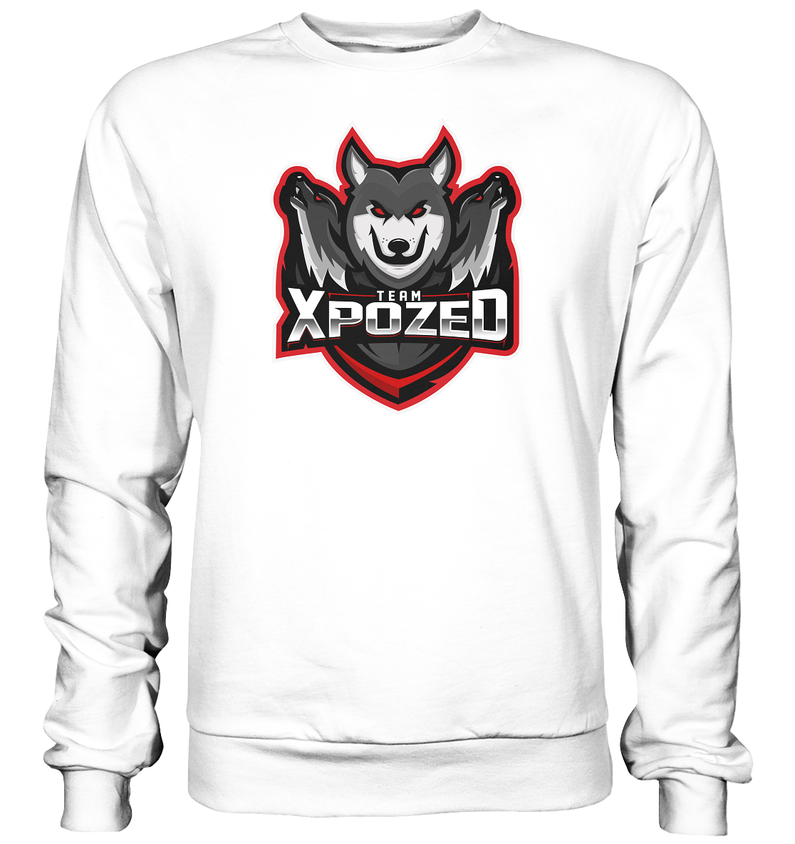 TEAM XPOZED - Basic Sweatshirt