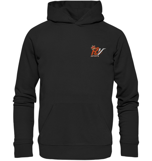 ROYAL VIPERS ESPORTS -  Basic Hoodie