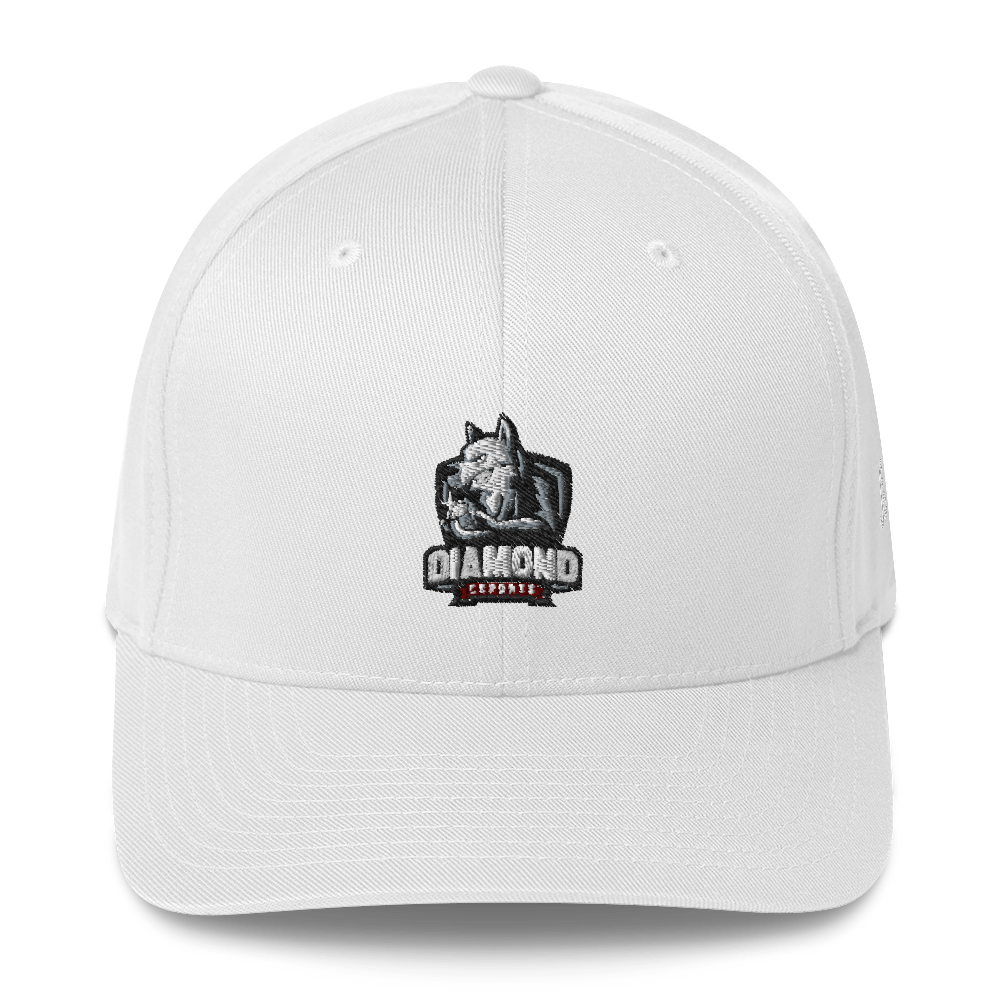 DIAMOND ESPORTS - Flexfit Cap