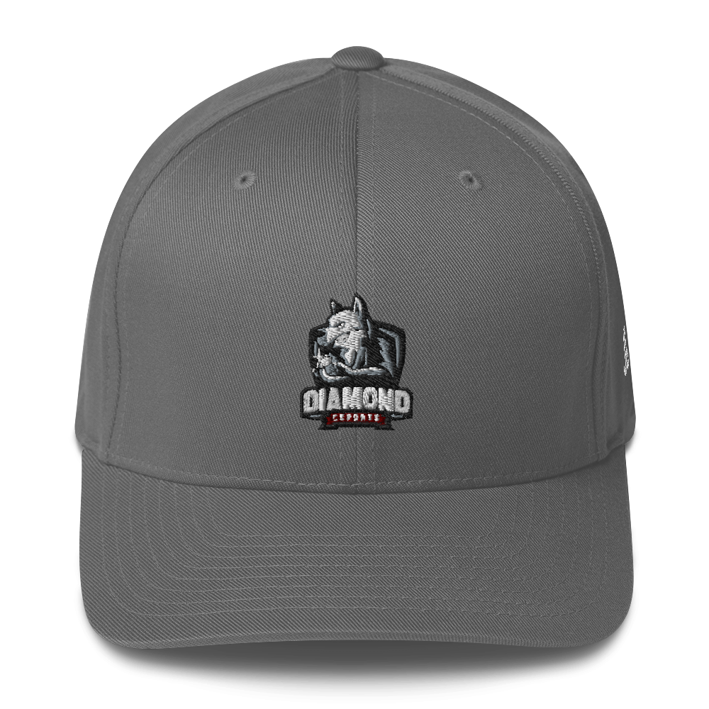 DIAMOND ESPORTS - Flexfit Cap