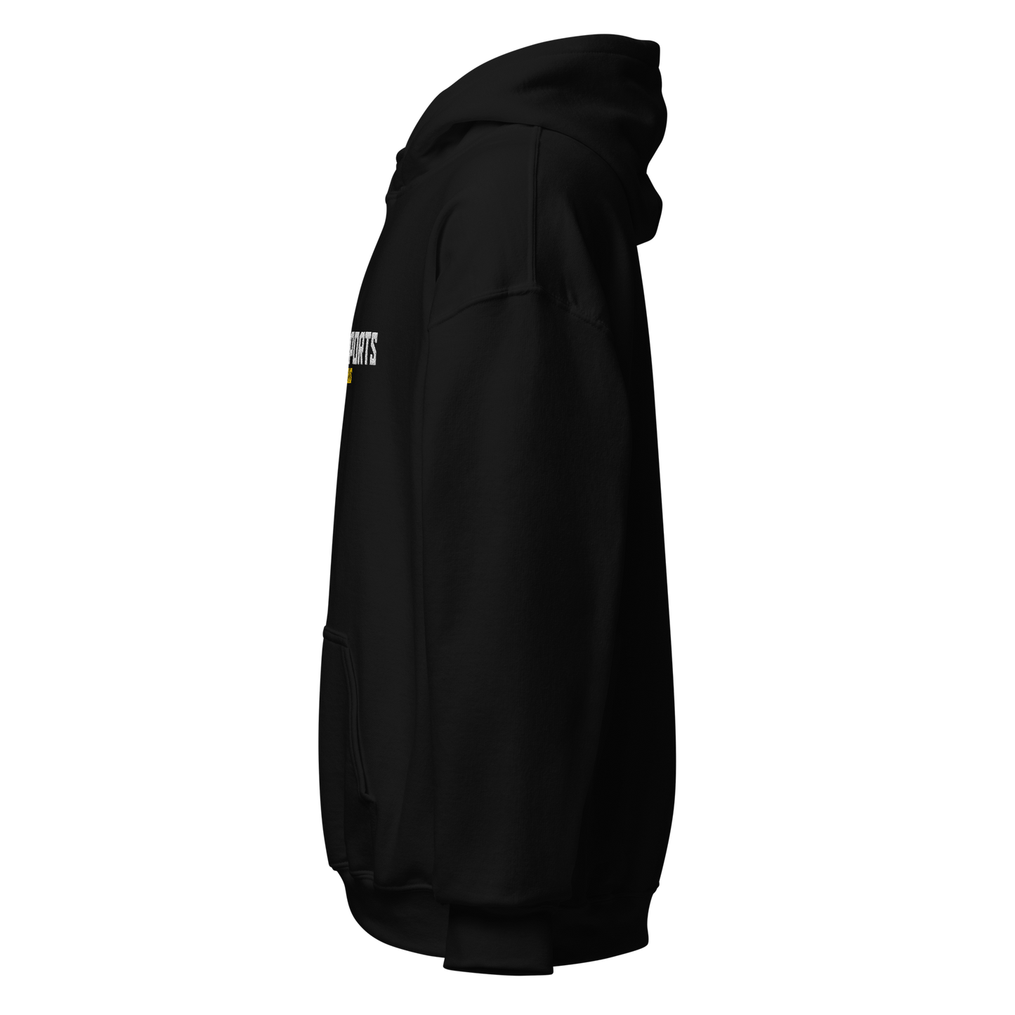 CHAOS ESPORTS - Sticklogo Hoodie - Team Genius