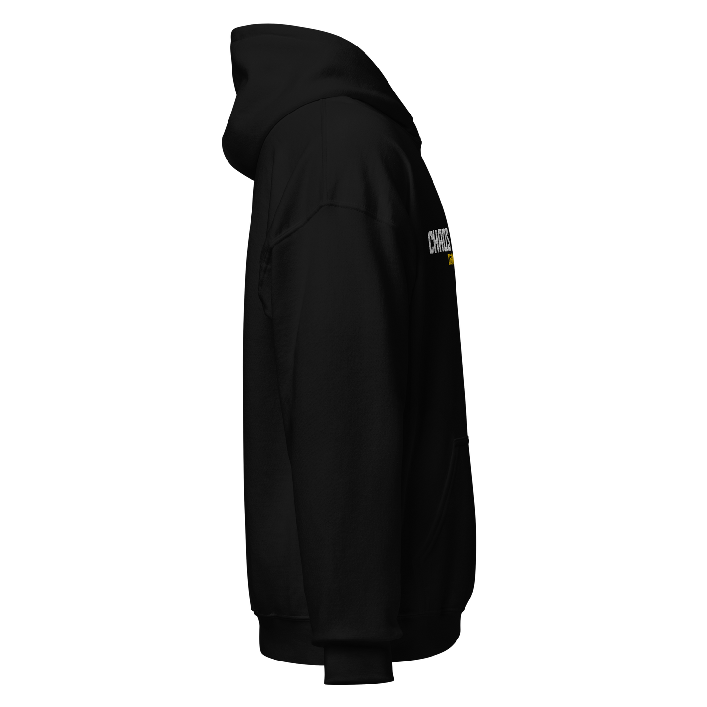 CHAOS ESPORTS - Sticklogo Hoodie - Team Genius